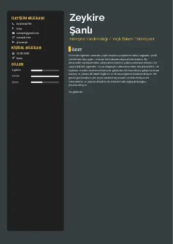 Hasta ve Yaşlı Bakım Elemanı Cv Örnekleri cv indir